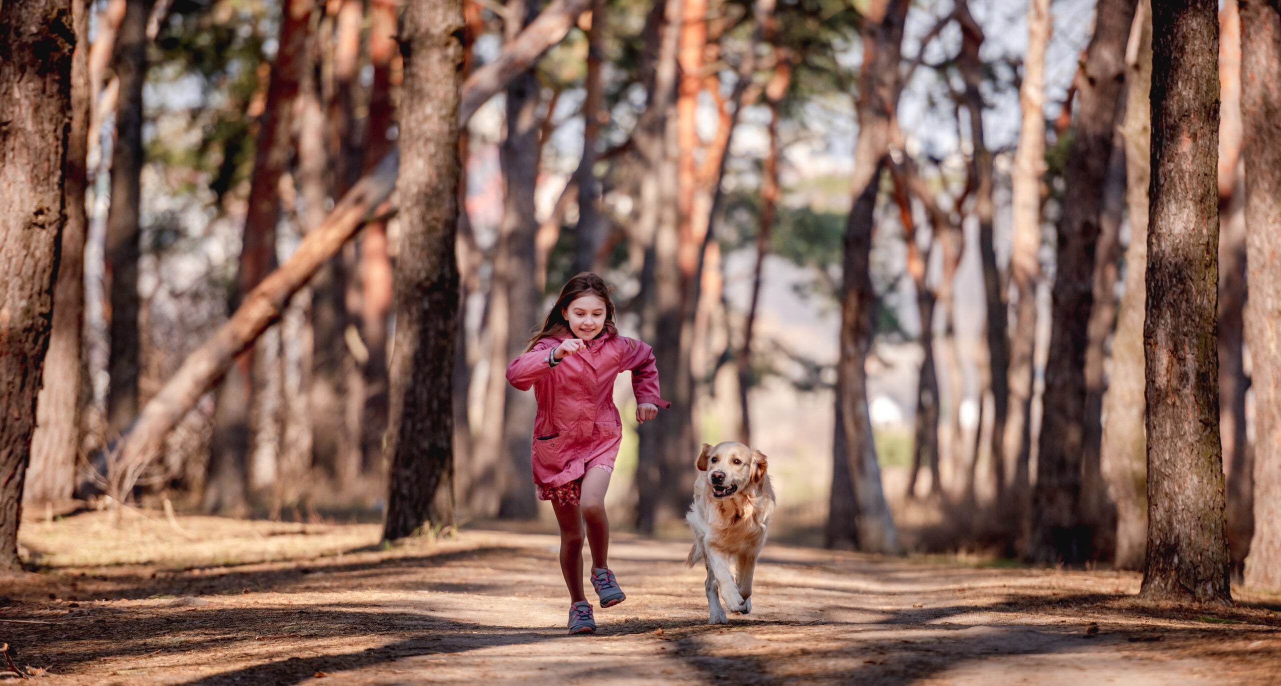 PETAGILE®